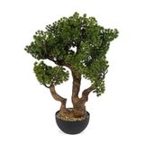 Mikasa Moor Pinus 75 cm Bonsai Yapay Ağaç