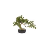 Mikasa Moor Pinus Yapay Bonsai Ağaç 40x30cm