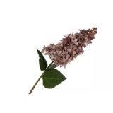 Mikasa Moor Sümbül Gül Kurusu 82 cm Yapay Çiçek