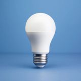 Mikasso 12V (Volt) 10W Beyaz LED Ampul – Karavan, Tekne, Araç Içi ve Için LED Lamba (5'li Paket)