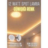 Mikasso 12W Günışığı Spot Lamba, Yüksek Lümen Tak Çalıştır Trafosu Içinde, Slim LED Panel - Çok Renkli