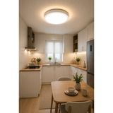 Mikasso 18W LED Panel Avize Yuvarlak Beyaz 6500K Beyaz Işık Tavana Sıfır Modern Salon Mutfak Aydınlatma 22 C - Çok Renkli