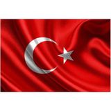 Mikasso 20 x 30 cm Türk Bayrağı VT101 - Çok Renkli
