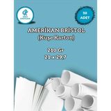 Mikasso 210 Gr. Amerikan Bristol Kağıt Karton 21X29,7 A4 Ebatında 50 Adet (0,65 Kg) - Çok Renkli