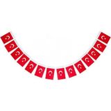 Mikasso 5 Adet Ipli Orta Kağıt Türk Bayrağı 50'li Paket 12,5 x 8 cm - Çok Renkli