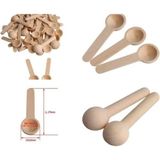 Mikasso Baharat Kaşık Mini Yuvarlak/int 6 Lı Plastik