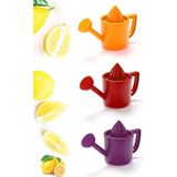 Mikasso Bahçıvan Limonluk Süzgeçli Limon Sıkacağı Sulama Limon Ibriği Plastik