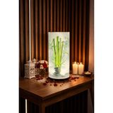 Mikasso 🎋 Bambu ve Zen Taşları Desenli LED Masa Lambası – Dekoratif Ortam Aydınlatması – 50 cm Plastik Çok R - Çok Renkli