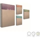 Mikasso Basic Notes Spiralli Sert Kapak Not Defteri 19X26CM 100 Yaprak Çizgili (2 Li Paket) 5430 Karton Düz - Çok Renkli