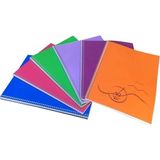 Mikasso Basic Okul Defteri A4 96 Yaprak Kareli 6'lı Spiralli Plastik Kapak Sert Spiralli Kareli 96 Yaprak Bü - Çok Renkli