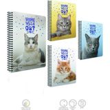 Mikasso Cat-Book Spiralli Plastik Kapak Defter A4 120 Yaprak Kareli (4 Lü Paket) Karton Spiralli Kareli 120 - Çok Renkli