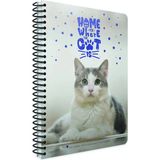 Mikasso Cat-Book Spiralli Plastik Kapak Defter A4 120 Yaprak Kareli Karton Spiralli Kareli 120 Yaprak Büyük - Çok Renkli