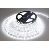 Mikasso Cata 10 Çipli Iç Mekan Beyaz Şerit LED CT-4480 (5 Metre) - Çok Renkli