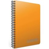 Mikasso Chromo A4 40 Yaprak Plastik Kapak Spiralli Defter (1976) Çizgili Koyu Sarı Sert Spiralli Çizgili 40 - Çok Renkli