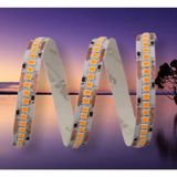 Mikasso Çipli Yüksek Lumen Şerit LED Günışığı Renk CT-4538 Gold Iç Mekan 12 W 240 - Çok Renkli