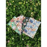 Mikasso Çizgisiz Defter Seti 4'lü 10X15CM Not Defteri Seti Hediyelik Defter Karton Düz Çizgisiz Küçük Boy Ço - Çok Renkli