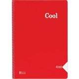 Mikasso Cool A4 40 Yaprak Çizgili Pp Kapak Spiralli Defter (321591-99) Yumuşak Spiralli Çizgili 40 Yaprak Bü - Çok Renkli