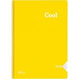 Mikasso Cool A4 40 Yaprak Kareli Pp Kapak Spiralli Defter (321592-99) Yumuşak Spiralli Renkli 40 Yaprak Orta - Çok Renkli