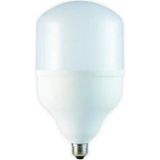 Mikasso - CT-4263G LED Ampul E27 24W Günışığı Beyaz