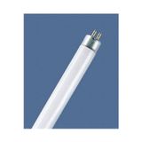 Mikasso Darkblue T5 6W Bl Floresan Sinek Lambası Mavi 22,5Cm Mavi Işık Gu5.3 Floresan Ampul 6 Watt Yok