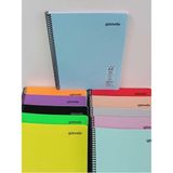 Mikasso Defter 96 Yaprak A4 Kareli Telli ( 2 Adet ) Sert Spiralli Kareli 96 Yaprak Büyük Boy Çok Renkli Okul