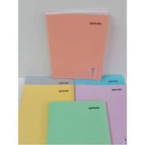 Mikasso Defter Çizgili 100 Yaprak A4 Pp Kapak Dikişli (2 Adet) Sert Düz Çizgili 100 Yaprak Büyük Boy Çok Ren - Çok Renkli