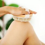 Mikasso Doğal At Kılı Organik Banyo Fırçası Masaj Peeling Selülit Çatlak Giderici Natural Vücut Fırçası - Çok Renkli