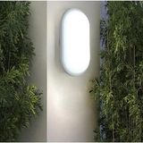 Mikasso Edl Shop Banyo Tavan Lambası 20W Oval Balkon Tavan Lambası 6400K Beyaz LED Işık Teras Duvar Lambası - Çok Renkli