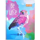 Mikasso Flex Up Defter A4 40 Yp Kareli Baykuş Yumuşak Düz Kareli 40 Yaprak Büyük Boy Mavi Okul Defterleri A4 - Çok Renkli