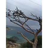 Mikasso Fotoğraf Kağıdı A4 200 gr 210 mm x 297 mm 25 Sayfa Yapışkanlı Not Kağıdı - Çok Renkli