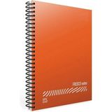 Mikasso Fresco Spiral Düz Pp Defter A4 96 Yaprak Kareli-Kırmızı Renk- Sert Spiralli Kareli 96 Yaprak Orta Bo - Çok Renkli