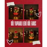 Mikasso Gül Yapraklı Ledli Gül Fanus - Çok Renkli