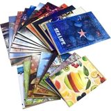 Mikasso Kaye A-5 Defter (Dikişli) Karton Kapak Kareli 100 Yaprak A5 100/4 (6 Lı Paket) Karton Spiralli Nokta - Çok Renkli