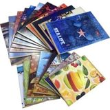 Mikasso Kaye A-5 Defter (Dikişli) Plastik Kapak Kareli 60 Yaprak A5 60/4 (1 Paket 12 Adet) Karton Spiralli N - Çok Renkli