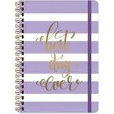 Mikasso Keskin A5 Spi.sert Kapak Düz Defter 80YP.DAILY Notes Muse-Best Day Ever / B 47 Karton Belirtilmemiş - Çok Renkli