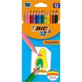 Mikasso Kids Tropicolors Kuru Boya Kalem 12LI Turuncu - Çok Renkli