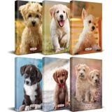 Mikasso Köpek Temalı Süresiz Planlama Defter Seti - 6 Defter Karton Düz Renkli Orta Boy Kahverengi Konsept D - Çok Renkli