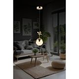 Mikasso Ld 085 Tekli Model Gold 3 Renkli Koridor ve Mutfak Için Ideal Alüminyum Avize, 12X12 Alüminyum 1 E27 - Çok Renkli