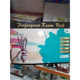 Mikasso Minik Store Mcolor Resim Defteri Profesyonel Karton Kapak Spiralli 25X35 Perforeli 160 gr Karton Spi - Çok Renkli