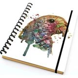 Mikasso Papağan Çizgili Spiralli Defter A5 100 Yaprak Sert Spiralli Çizgili 100 Yaprak Orta Boy Altın Okul D - Çok Renkli
