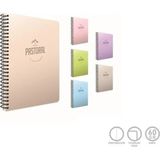 Mikasso Pastoral Spiralli Plastik Kapak Defter A4 40 Yaprak Çizgili (6 Lı Paket) 6080 Karton Düz Çizgili 40 - Çok Renkli