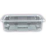 Mikasso Plastik Sızdırmaz Kap 1500 cc Kapaklı Sızdırmaz 10 Adet Plastik Turuncu