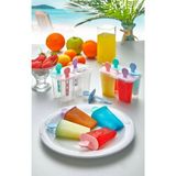 Mikasso Plastlife 4'lü Meybuz & Dondurma Kalıbı KP-151 Plastik