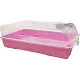 Mikasso Renkli Kadın Ayakkabı Saklama Kutusu - Pembe Plastik Pembe