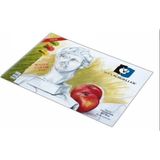 Mikasso Resim Defteri 35X50 120 gr 15 Yaprak ALX-833 / Karton Düz Çizgisiz Büyük Boy Çok Renkli Resim Defter