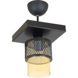 Mikasso Tekli Bal Cam Kafes Model Modern Plafonyer Avize Metal 1 E27 Siyah - Çok Renkli