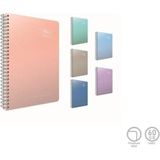 Mikasso Thebook Spirals Spiralli Sert Kapak Not Defteri 17X24CM 100 Yaprak Çizgisiz (3 Lü Paket) 5517 Karton - Çok Renkli