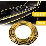Mikasso Trim Fitilli Yeni Araç Içi Ip Şerit Balık Sırtı Nikelajlı 5 Metre Krom Gold - Çok Renkli