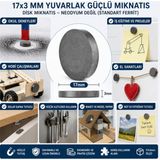 Mıknatıs 17X3 mm Yuvarlak Güçlü Mıknatıs Disk Mıknatıs - Renkli