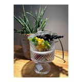 Miko Home & Garden El Yapımı Tırtıl Ayaklı 2'li Kase (Şekerlik/Çerezlik/Kurabiyelik) 14x21Cm